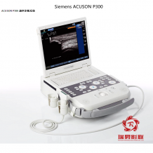 Siemens ACUSON P300便攜式 彩超維修