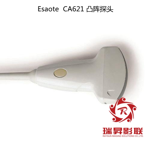 Esaote CA621凸陣探頭