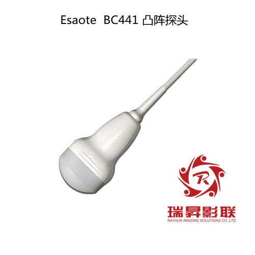 Esaote BC441凸陣探頭