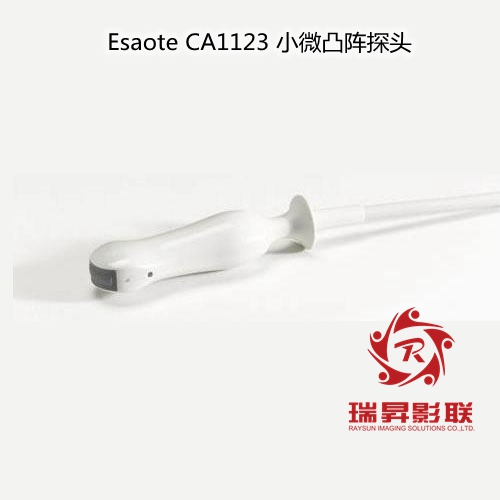 Esaote CA1123小微凸陣探頭