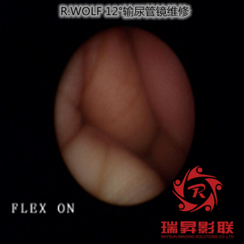 R.WOLF 12°輸尿管鏡維修